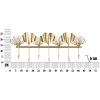 Mauro Ferretti wieszak ścienny 7 skrzydeł 66,2x6x26,3 cm złoty