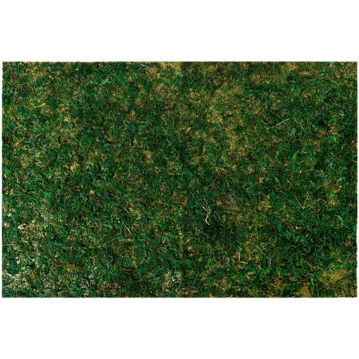 Clayre & Eef 66121 Mata z mchu 60x40x1 cm Bujna zieleń Plastikowa dekoracja