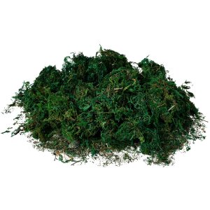 Clayre & Eef 66109 Mata z mchu zielona 40x30x1 cm...