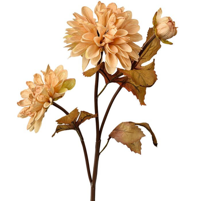 Clayre & Eef 6PL0387BE Sztuczny kwiat beżowo-brązowy 10x10x66 cm