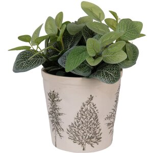 Clayre & Eef 6CETKG0001M Doniczka dekoracyjna beżowo-zielona Ø 18x16 cm