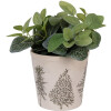 Clayre & Eef 6CETKG0001M Doniczka dekoracyjna beżowo-zielona Ø 18x16 cm