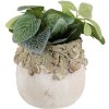 Clayre & Eef Doniczka z Reliefem Liści Dębu 15x13 cm Beżowo-Zielona