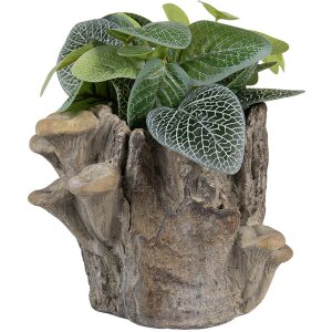 Clayre & Eef Doniczka Pnia 19x17x16 cm Brązowo-Beżowa