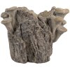 Clayre & Eef Doniczka Pnia 19x17x16 cm Brązowo-Beżowa