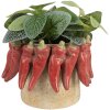 Clayre & Eef Donica Terakota Ø17x13 cm Beżowo-Czerwona
