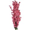 Clayre & Eef 5PL0168P Dekoracja Gałąź z Kwiatami Różowa 100 cm