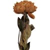 Clayre & Eef 6PL0405BR Sztuczna Roślina 10x10x65 cm Brązowo-Zielona