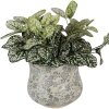 Clayre & Eef Donica Ceramiczna Ø18x15 cm Zielono-Szara