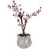 Clayre & Eef Donica Ceramiczna Ø 15x13 cm Zielono-Szara