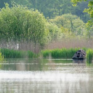 Buteo Photo Gear Pływający Szałas Maskujący Grebe II