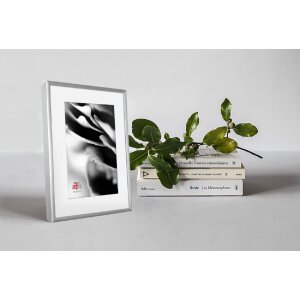 Ramka na zdjęcia FramesFactory Aluminium 15x21 cm srebrna