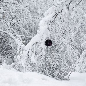 Buteo Photo Gear 3D-Liście Siatka Maskująca Camo Śnieg 1,5x3m