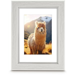 Rama plastikowa Hama Lima, biała, 15 x 20 cm –...