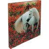 Schleizer Motivalbum Koń na makowej łące 29x32 cm 60 białych kartek