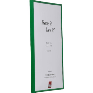 Ramka na zdjęcia Effect, 37x98 cm, zielona, szkło akrylowe UV odpornościowe