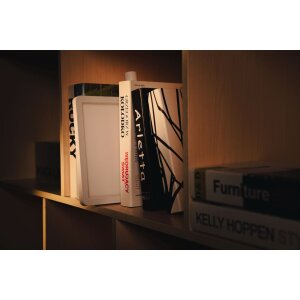 Falcon Eyes 290881 Messinstrument mit LED-Beleuchtung und IP65-Schutz