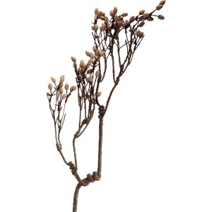 Clayre & Eef 5PL0203 Dekoration Zweig in...