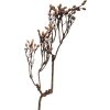 Dekoracja wisząca w kształcie gałęzi, naturalne brązy, 30x4x85 cm