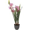 Dekoracja wisząca w kształcie orchidei Cattleya Hybryda – różowo-zielona, 55 cm