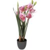 Dekoracja wisząca w kształcie orchidei Cattleya Hybryda – różowo-zielona, 55 cm