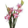 Dekoracja wisząca w kształcie orchidei Cattleya Hybryda – różowo-zielona, 55 cm