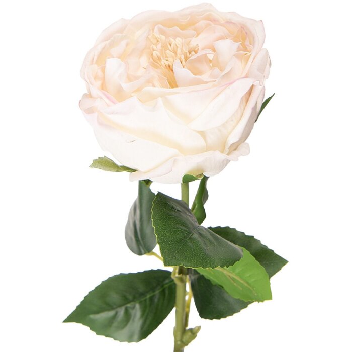Kwiat sztuczny w kształcie róży biała z zielonymi liśćmi, 9x9x43 cm, marki Clayre & Eef