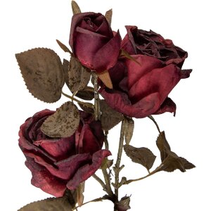 Dekoracja gałąź z kwiatami czerwono-zielona 12x12x70 cm – Clayre & Eef