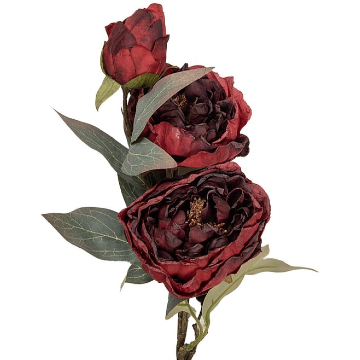 Dekoracja wisząca Clayre & Eef z gałązką i kwiatami, 16x16x72 cm, czerwono-zielona