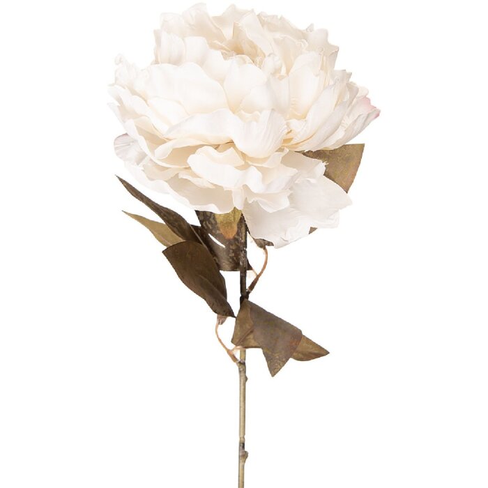 Sztuczna róża Pfingstrose biała-zielona 14x14x70 cm, Clayre & Eef