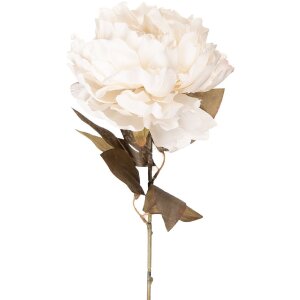 Sztuczna róża Pfingstrose biała-zielona 14x14x70 cm, Clayre & Eef