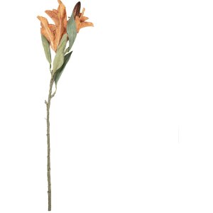 Dekoracja wisząca z gałęzią i kwiatami – brąz i...