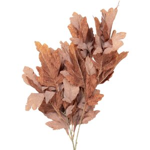 Dekoracja wisząca Clayre & Eef – gałąź w odcieniach brązu i zieleni 15x22x104 cm