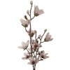 Dekoracja ściana: gałąź z kwiatami beżu i brązu, 12x15x92 cm, Clayre & Eef