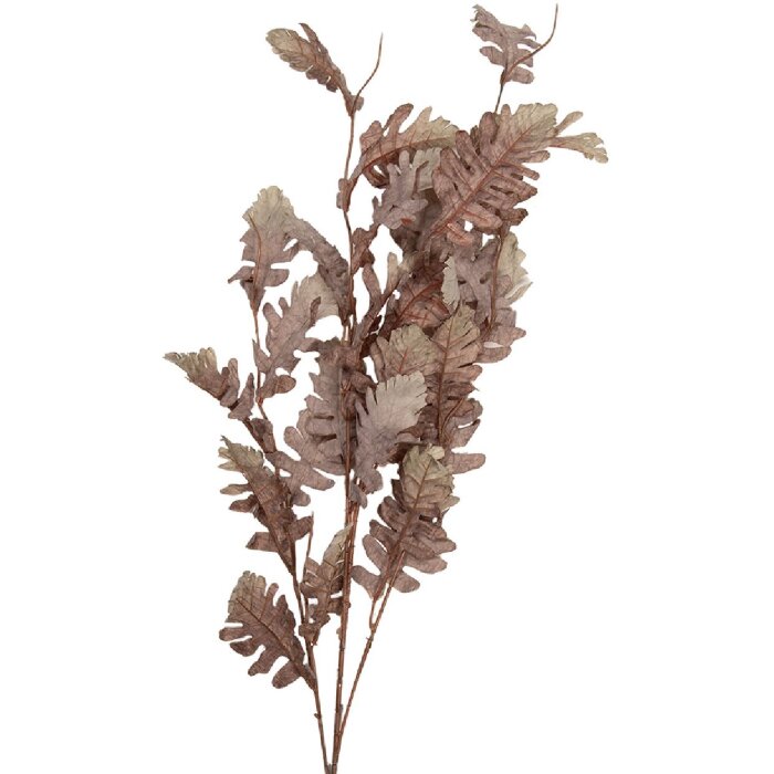 Dekoracja gałąź Clayre & Eef, beżowo-brązowa, 10x15x108 cm