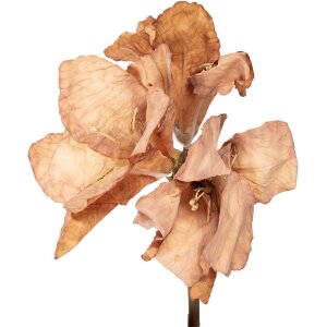 Kwiat sztuczny Clayre & Eef 5PL0264BE, brązowy,...