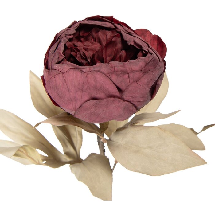 Kwiat sztuczny Clayre & Eef, czerwono-zielony, 11x11x62 cm