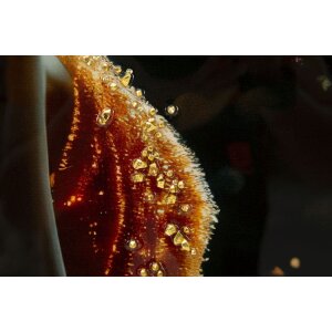 Obraz na płótnie Mauro Ferretti ILLUMY z ramą 62x3,5x92 cm – elegancka kobieta w złotym świetle