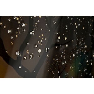 Obraz na ścianę „Pfaun” od Mauro Ferretti – dekoracja ścienna z ramą 70x100 cm