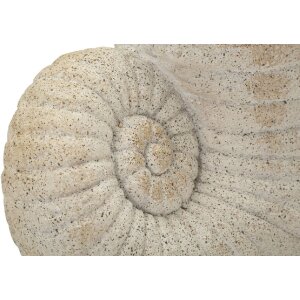 Vaza Mauro Ferretti w kształcie muszli – beżowa, 33x19x23 cm