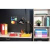 Pudło archiwalne Exabox grzbiet 60mm z etykietą w kartonie Manila Nature Future, DIN A4 Czerwony