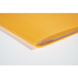 Teczka do przeglądania z mocnego PP 800µ z 30 kieszeniami Linicolor, do formatu DIN A4 różne kolory
