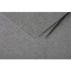 Karta podwójna Pyłek 135x135 stal kolorowa