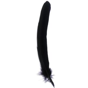 Gęsie pióro, długość 28 cm - niebieskie
