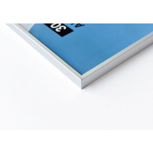 Rama aluminiowa Accent 50x70 cm srebrny mat