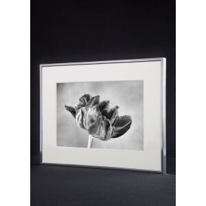 Rama aluminiowa Accent 50x70 cm srebrny mat