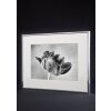 Rama aluminiowa Accent 50x70 cm srebrny mat